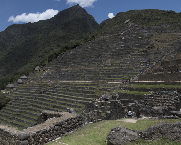 Machu_Picchu_17_Peru_705