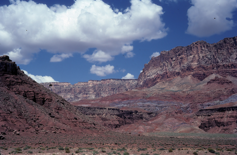 Arizona_82_016