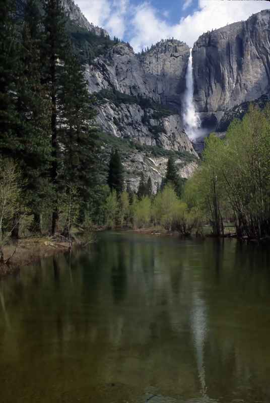 CA_YosNSeq_98_149