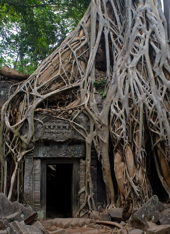 Cambodia_06_031