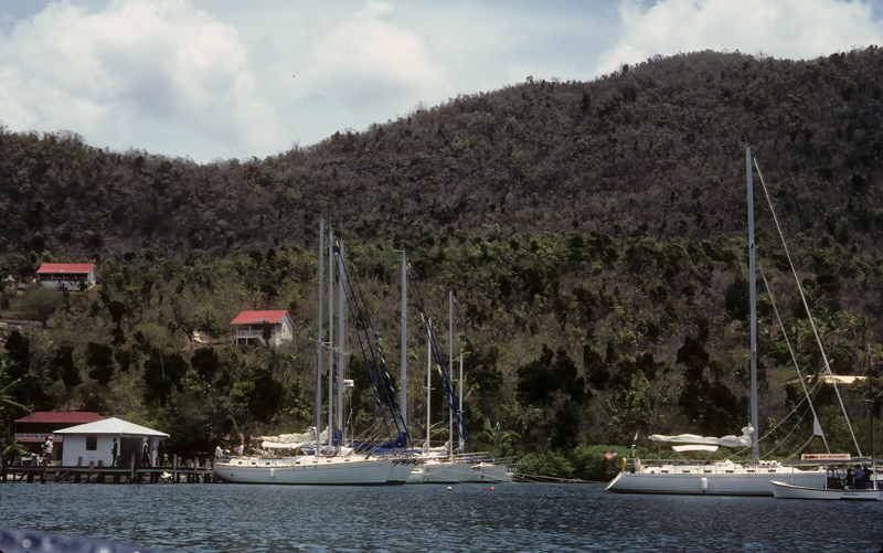Caribbean_83_012