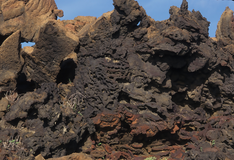 Galapagos_Islands_97_Galapagos_005