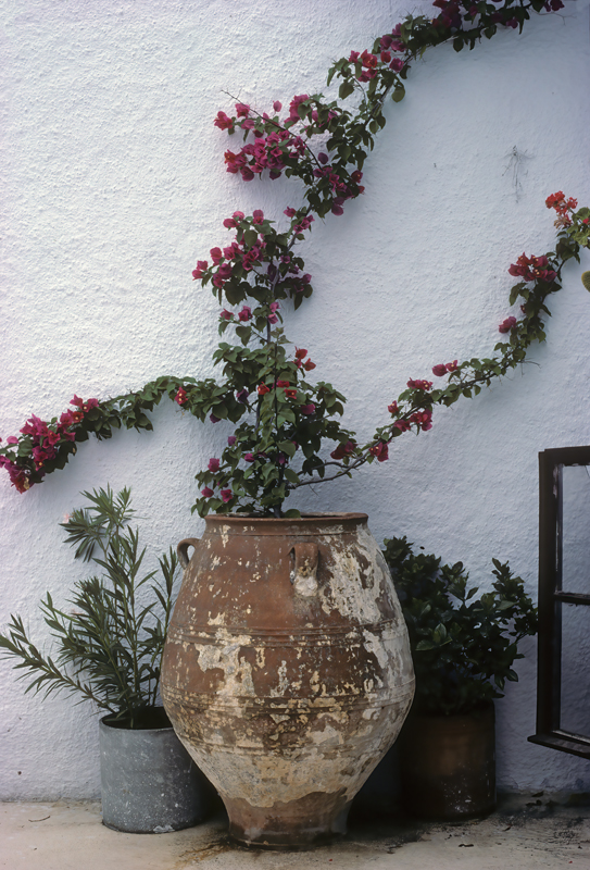 Greece_86_036