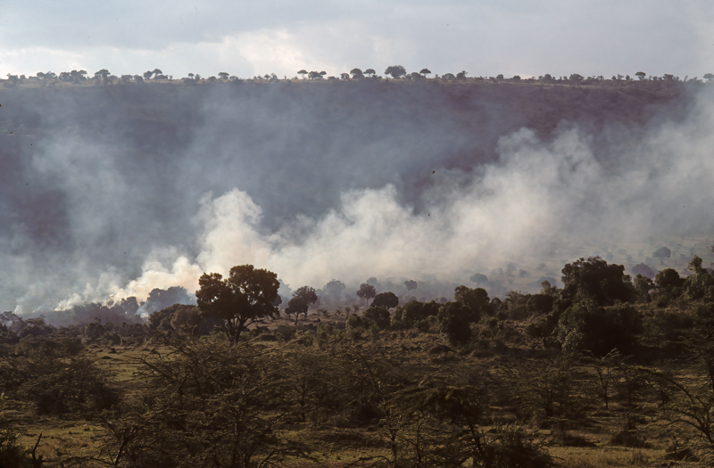 Kenya_90_014