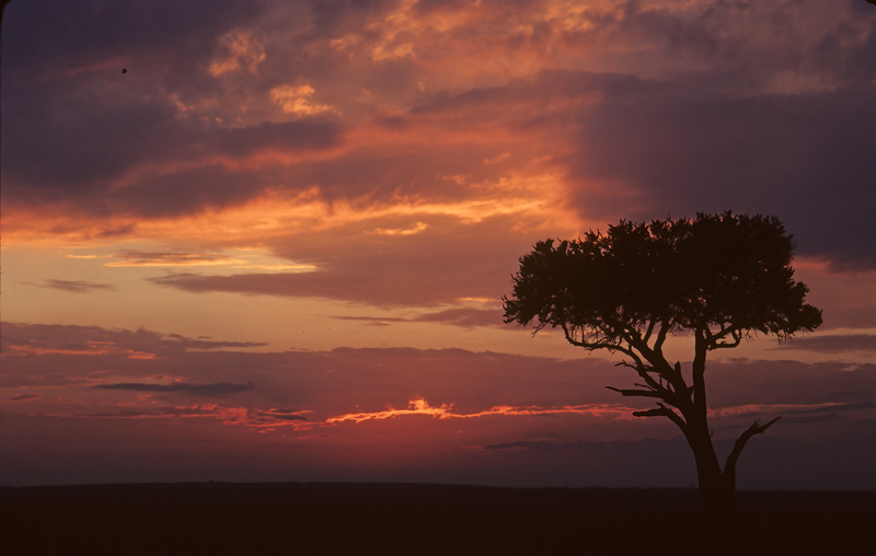 Kenya_90_057