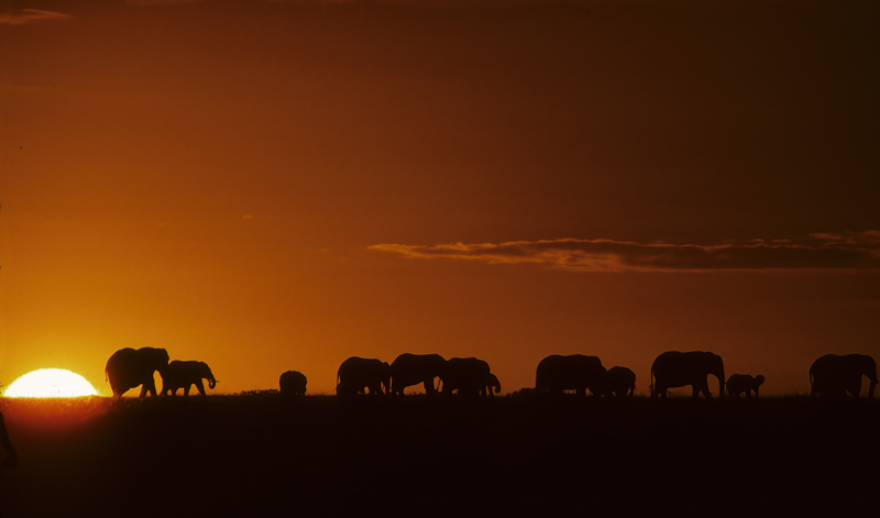 Kenya_90_058