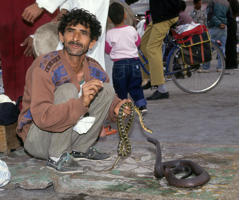 Morocco_83_029