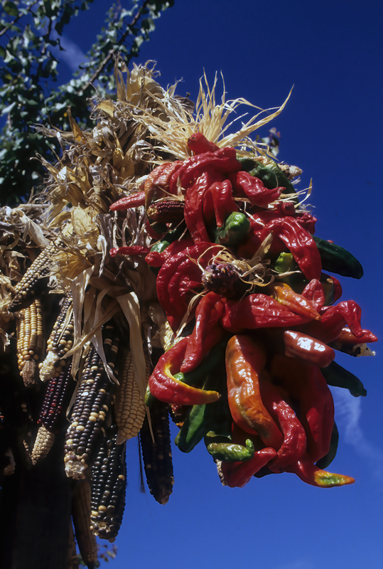 New_Mexico_91_016