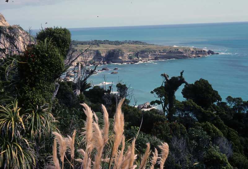 New_Zealand_95_030