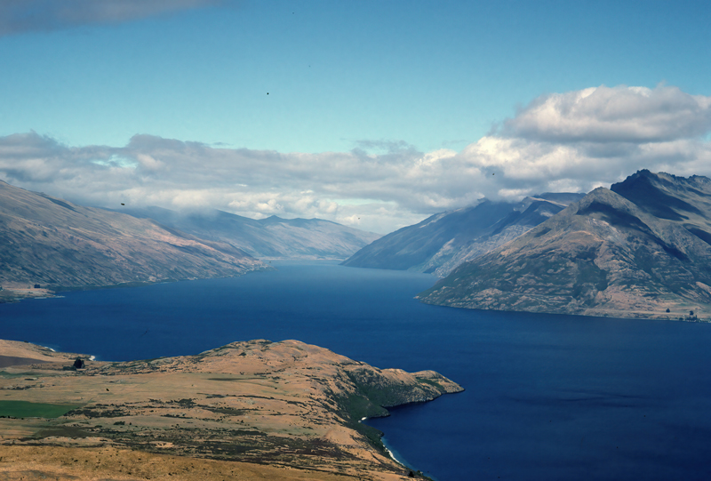 New_Zealand_95_032