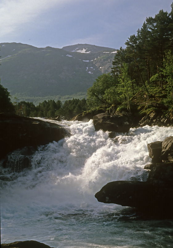 Norway_88_015