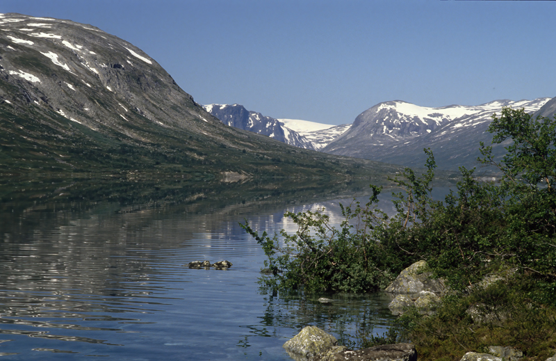 Norway_88_016