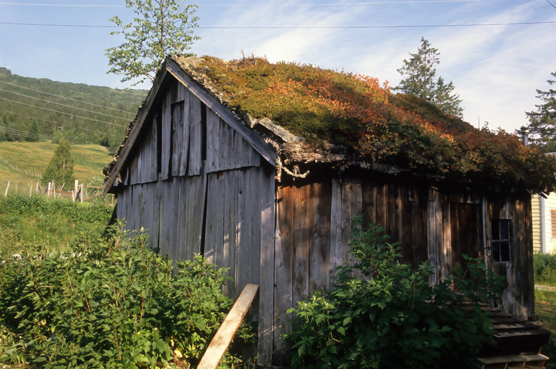 Norway_88_019