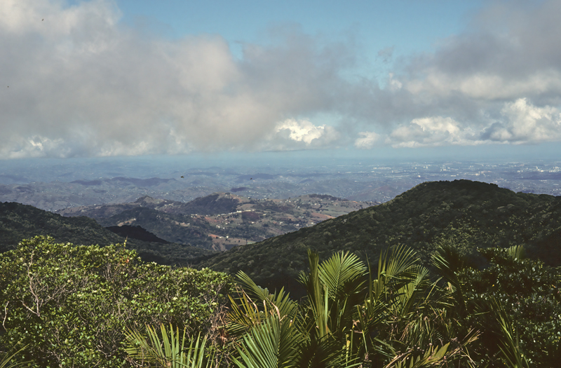 Puerto Rico_83_006