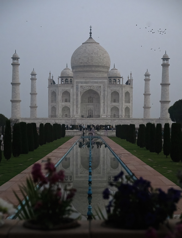 Taj_Mahal_25_India_809