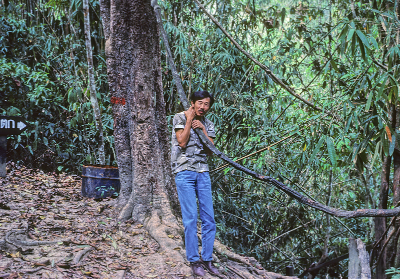 Thailand_87_024