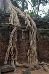 Angkor Wat Photo