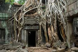 Angkor Wat Photo