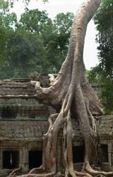 Angkor Wat