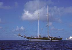 Caribbean