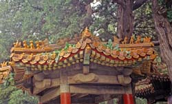 China  Photo