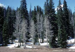 Colorado Photo 