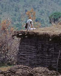 Maasai Village