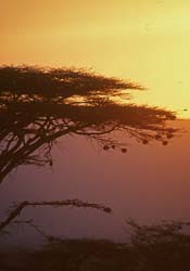 Kenya - Scenery