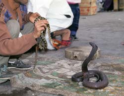 Morroco